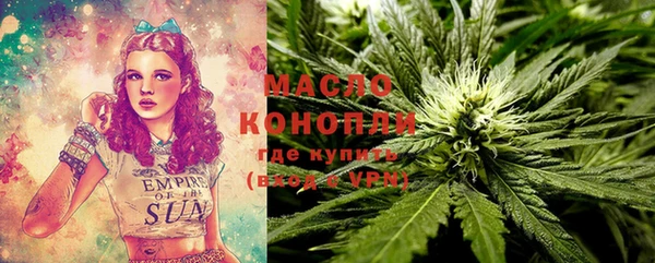 дживик Инта