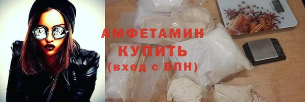 дживик Инта