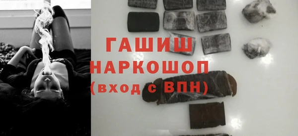 дживик Инта