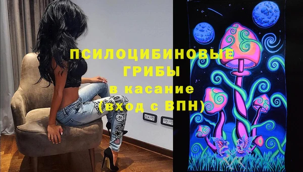 СК Инсар