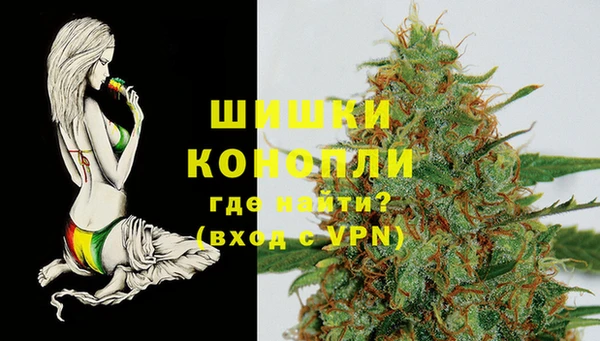 дживик Инта