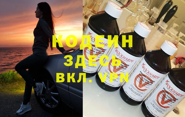 дживик Инта