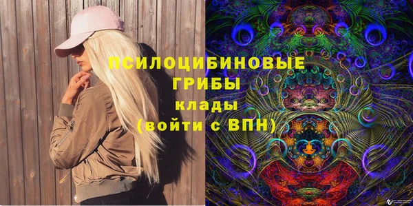 СК Инсар