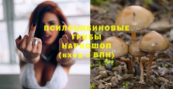 дживик Инта