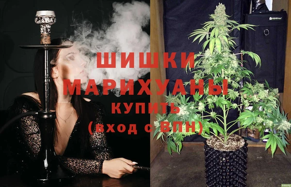 дживик Инта